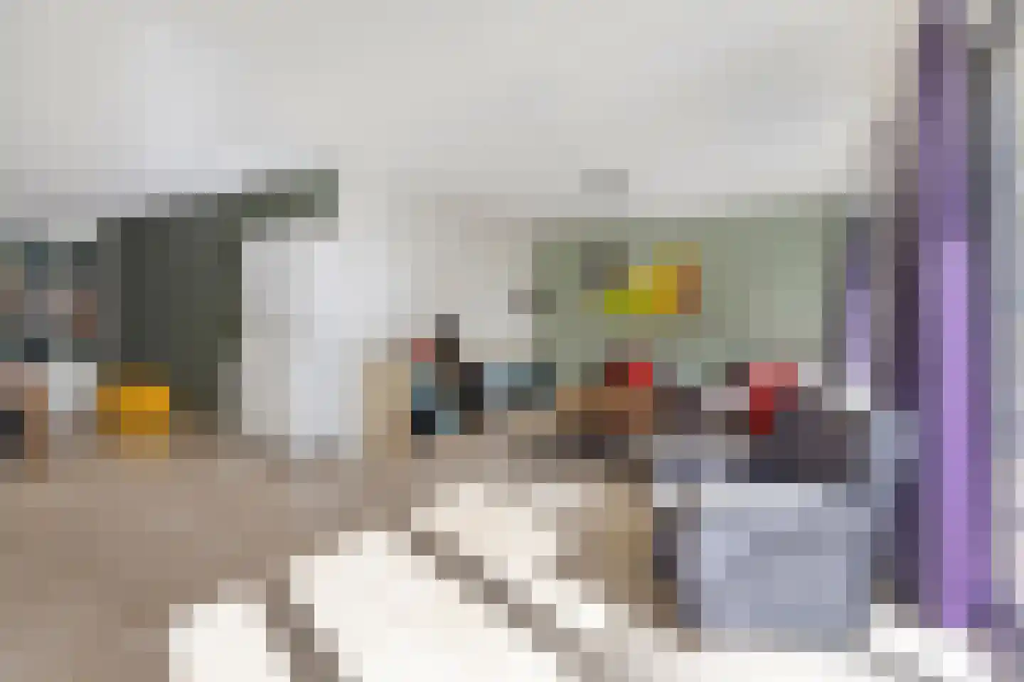Wilde Wingerdlaan 13 Gouda thumbnail 9