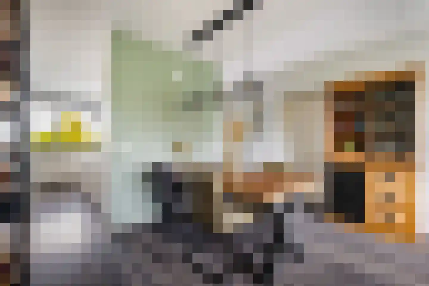 Wilde Wingerdlaan 171 Gouda thumbnail 10