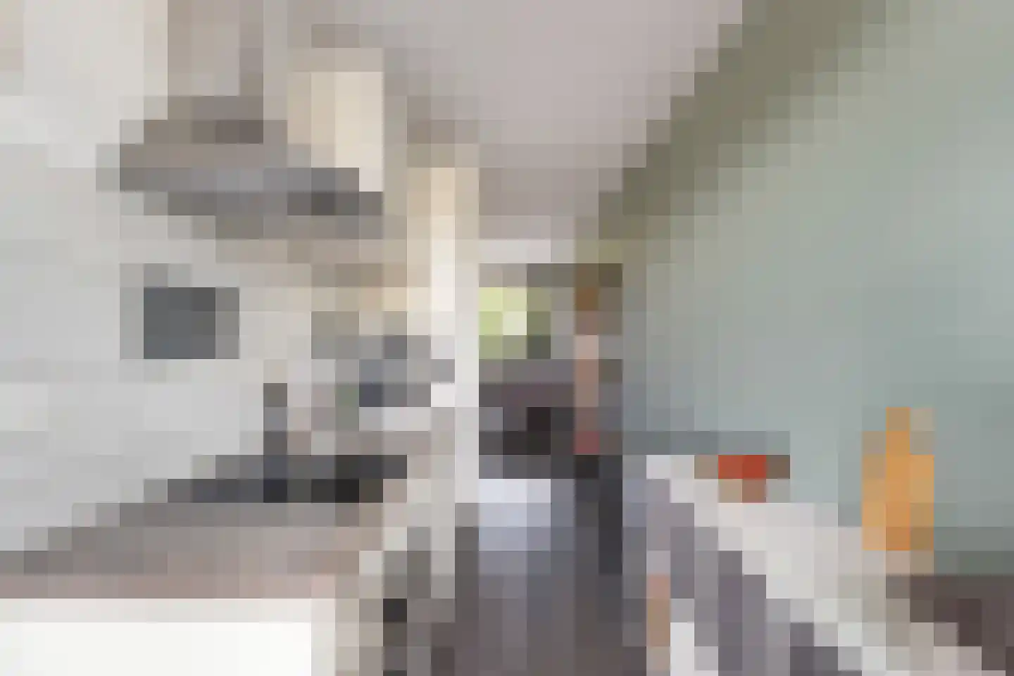 Wilde Wingerdlaan 171 Gouda thumbnail 12