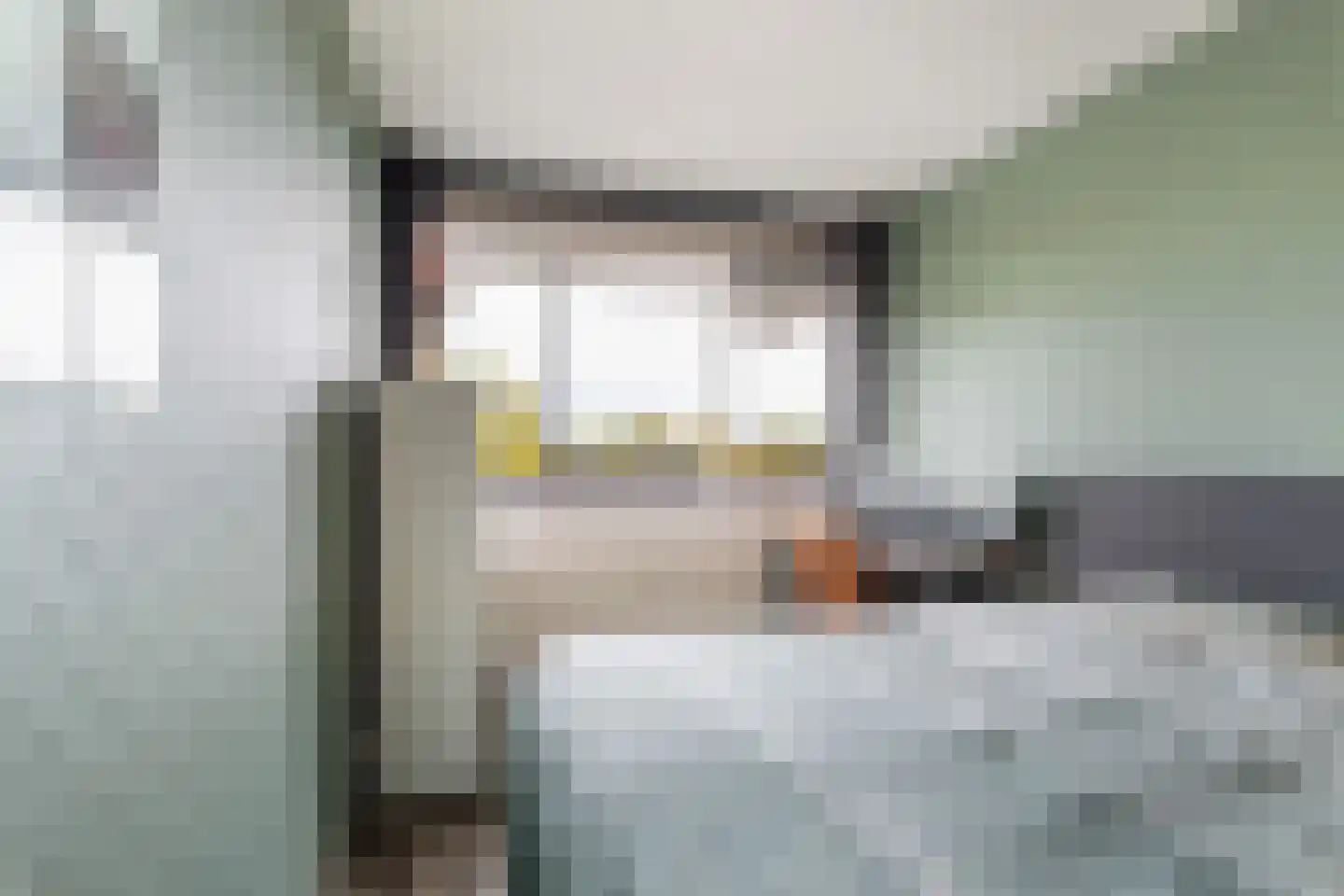 Wilde Wingerdlaan 171 Gouda thumbnail 14