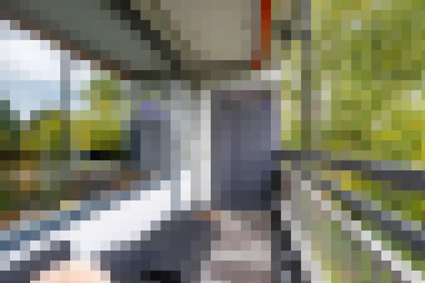 Wilde Wingerdlaan 171 Gouda thumbnail 17