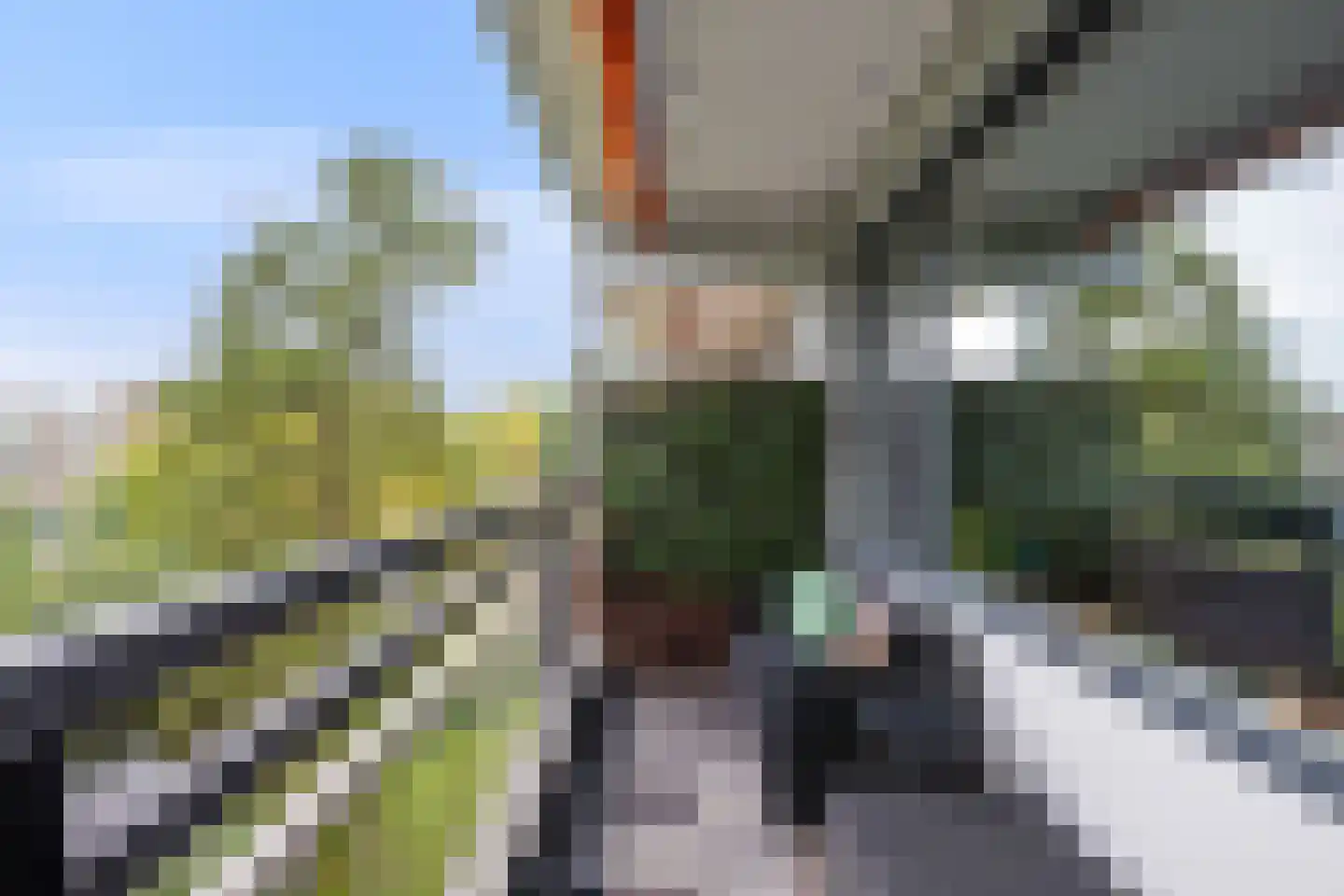 Wilde Wingerdlaan 171 Gouda thumbnail 18