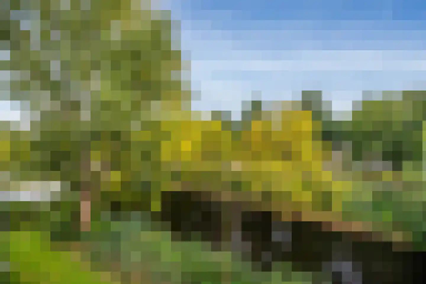 Wilde Wingerdlaan 171 Gouda thumbnail 19
