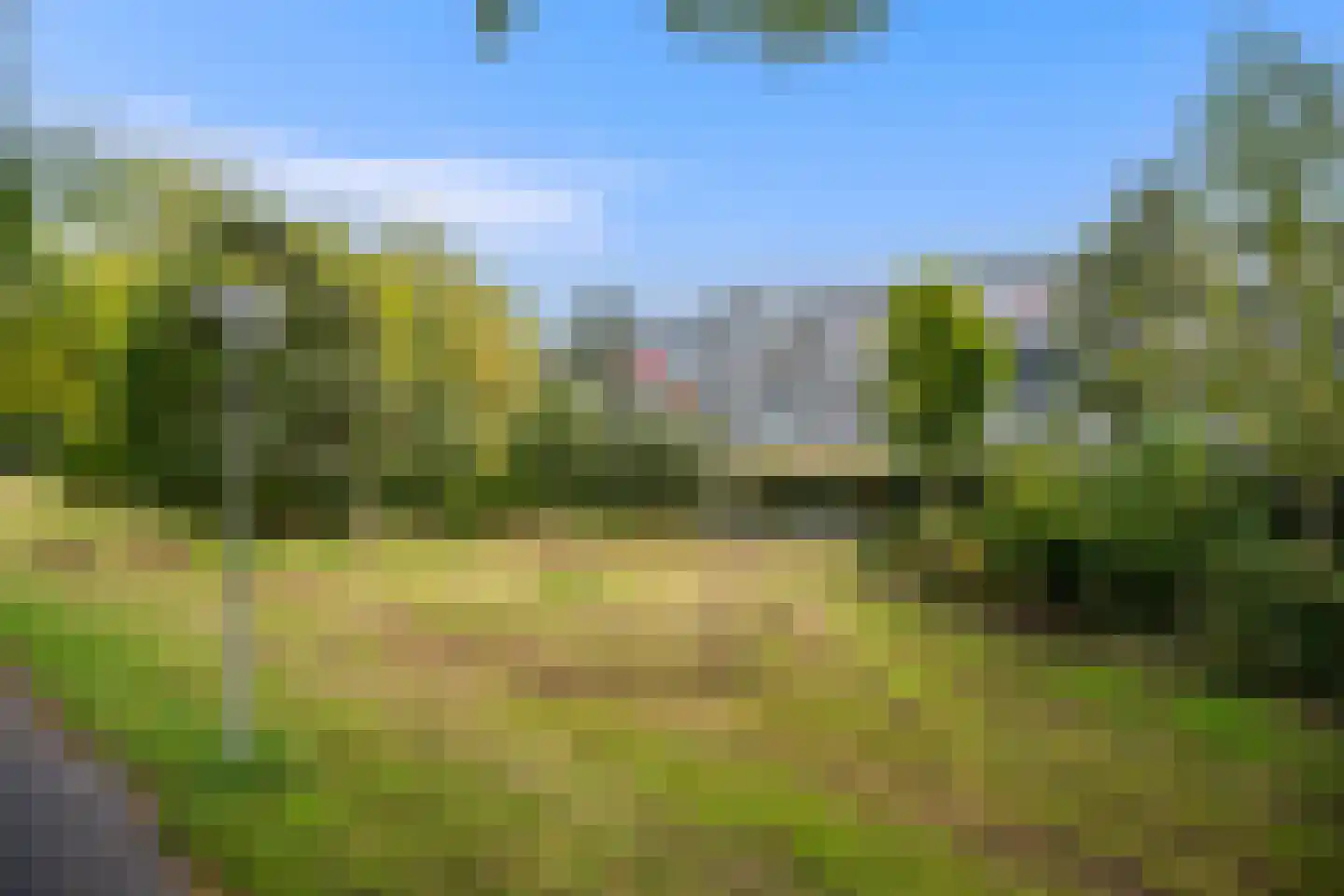 Wilde Wingerdlaan 171 Gouda thumbnail 20