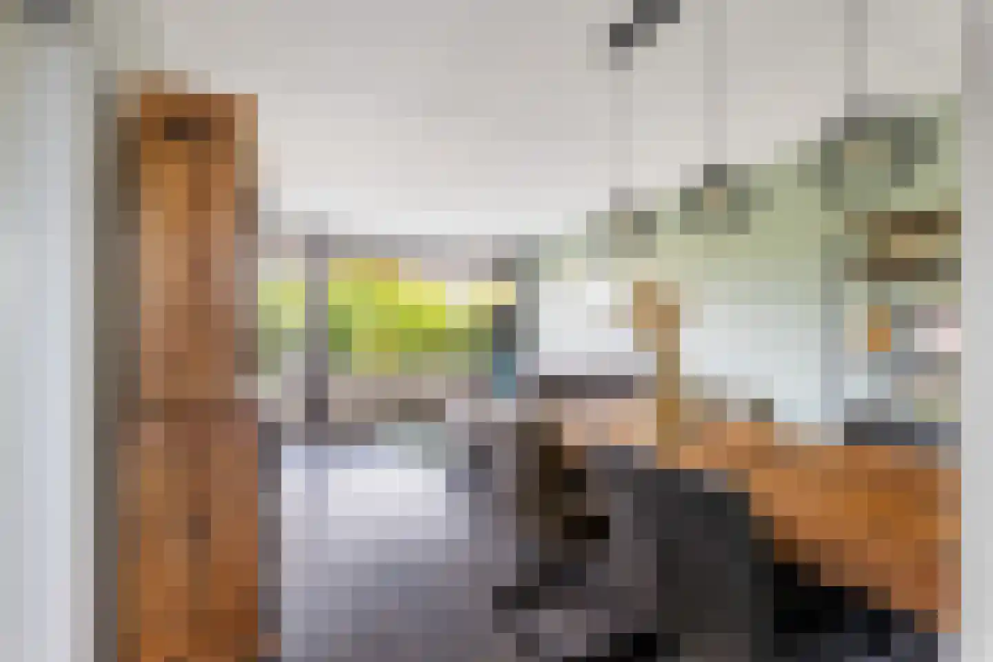 Wilde Wingerdlaan 171 Gouda thumbnail 7