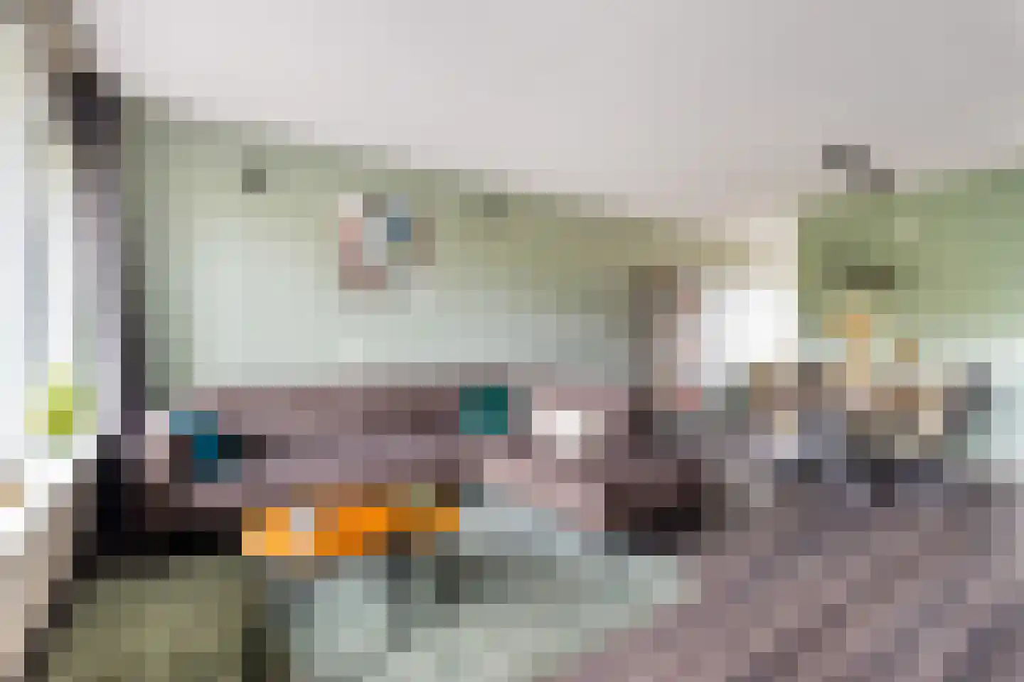 Wilde Wingerdlaan 171 Gouda thumbnail 8