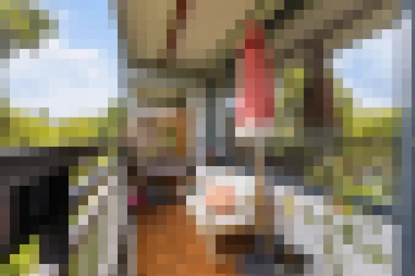 Wilde Wingerdlaan 173 Gouda thumbnail 11