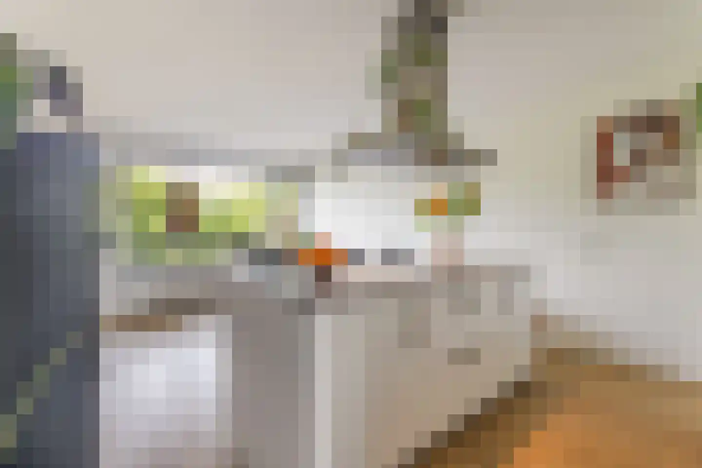 Wilde Wingerdlaan 173 Gouda thumbnail 15