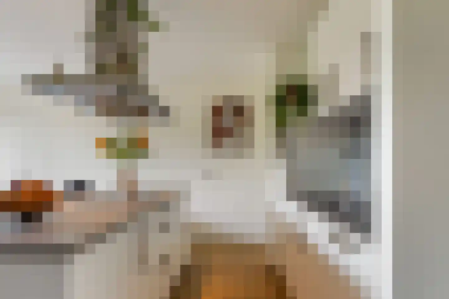 Wilde Wingerdlaan 173 Gouda thumbnail 16