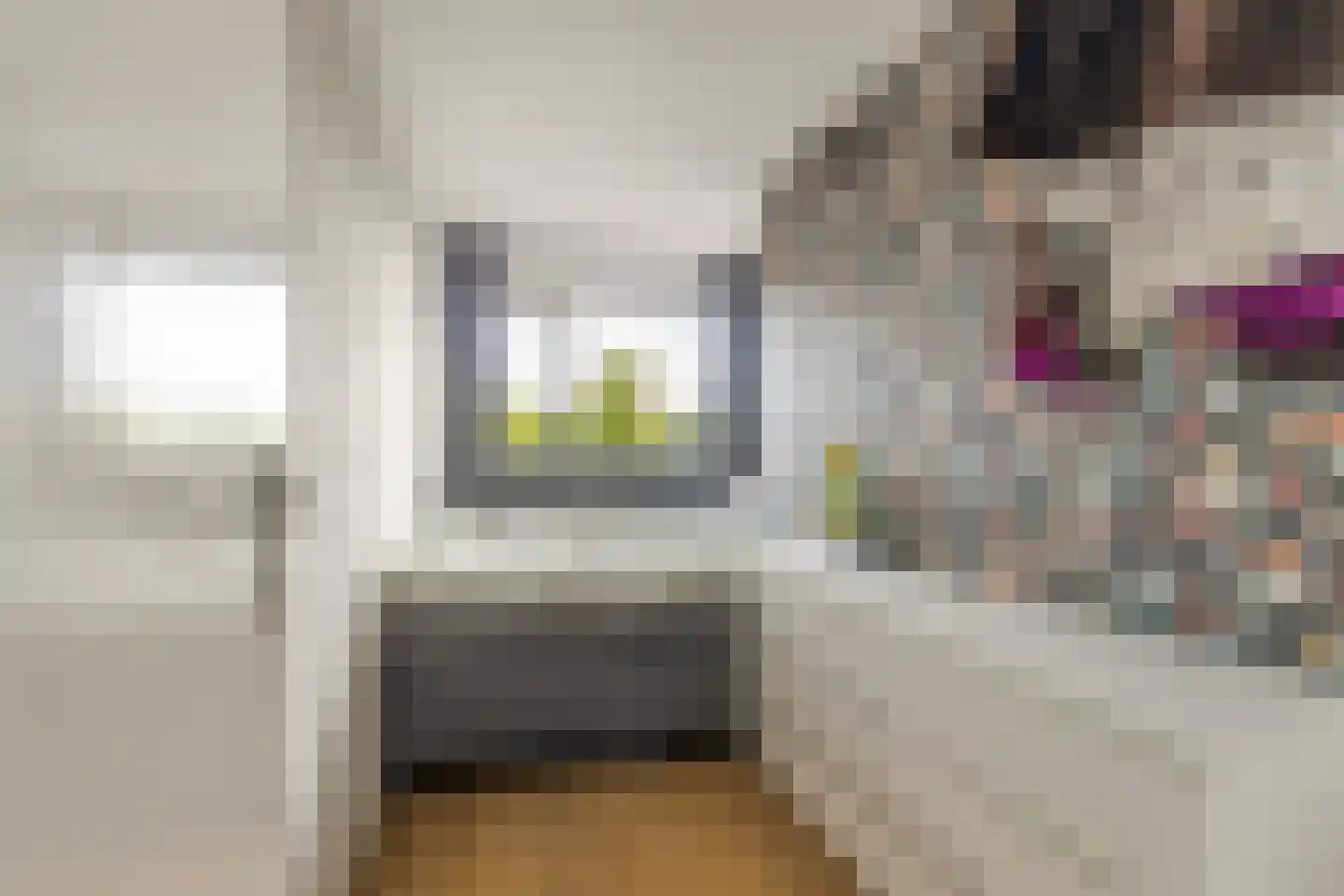 Wilde Wingerdlaan 173 Gouda thumbnail 17