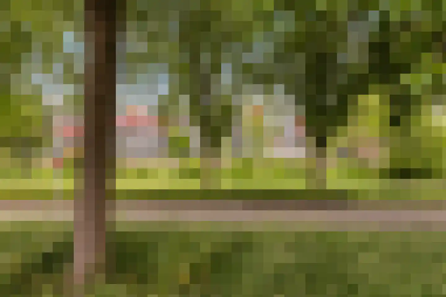 Wilde Wingerdlaan 173 Gouda thumbnail 21