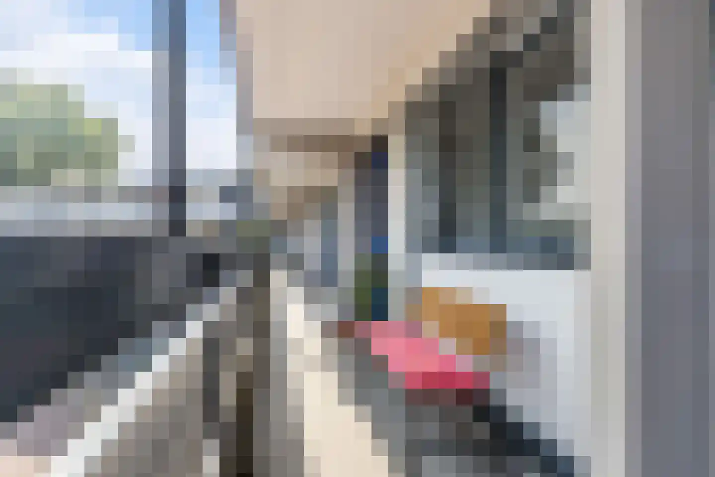 Wilde Wingerdlaan 173 Gouda thumbnail 5