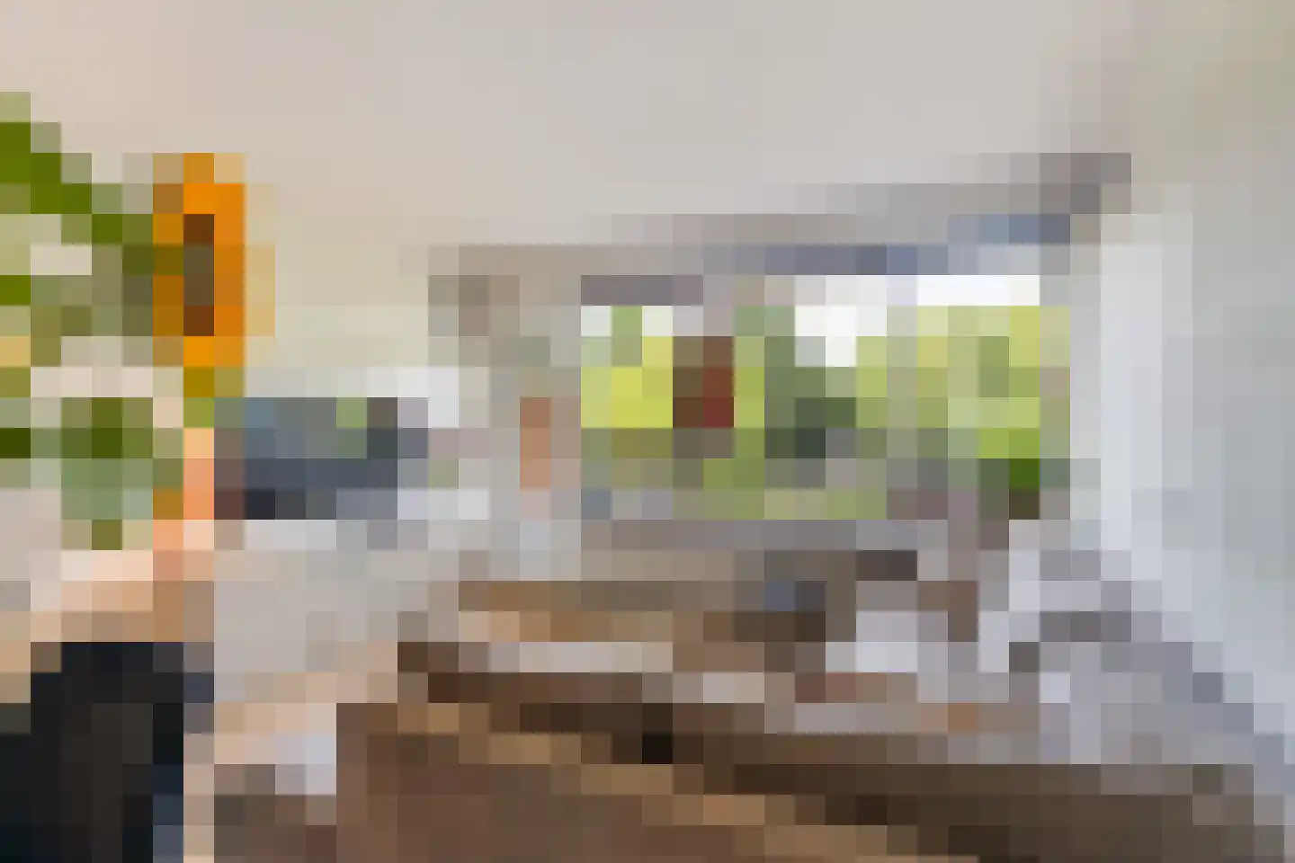 Wilde Wingerdlaan 173 Gouda thumbnail 8