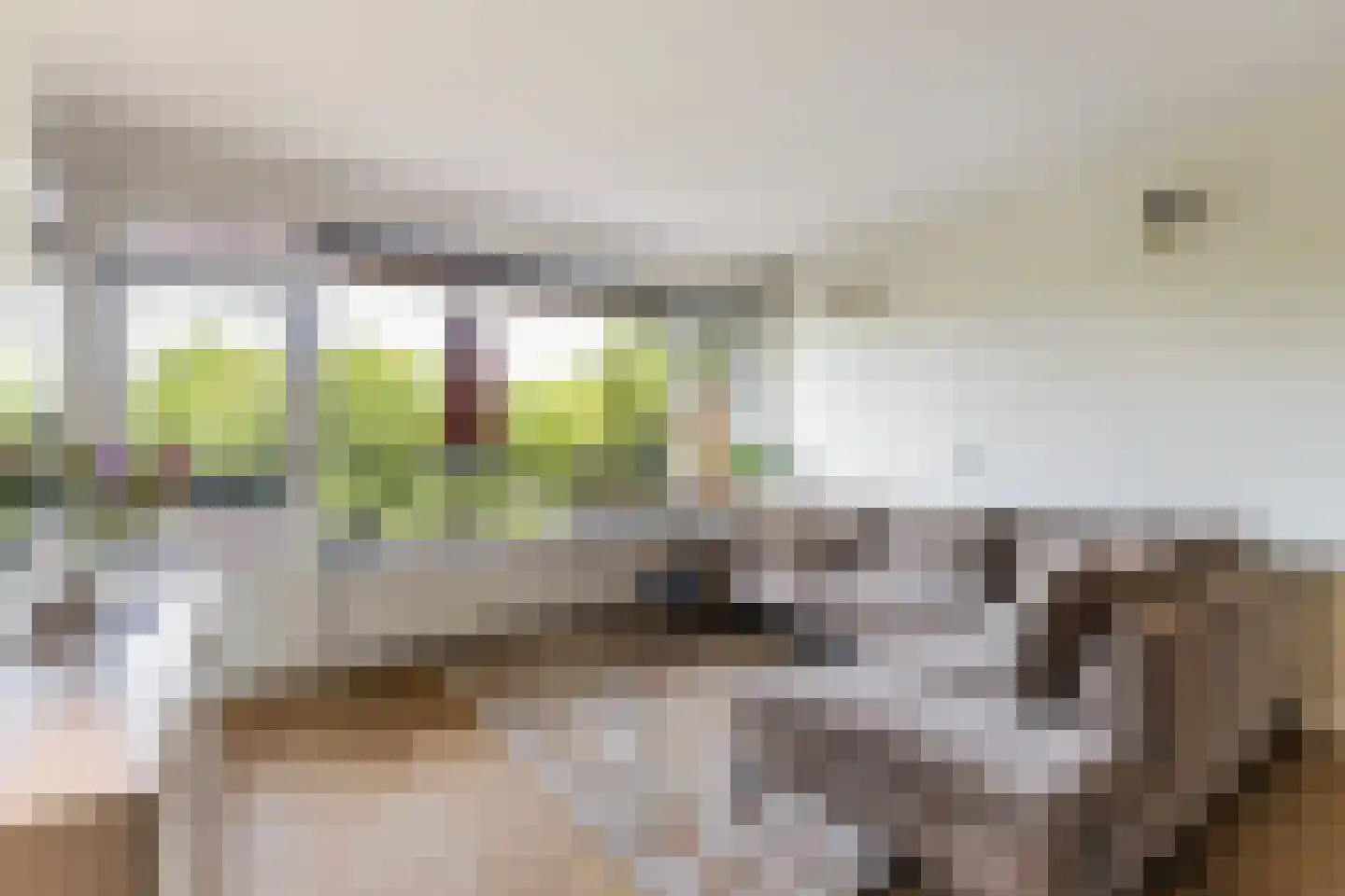 Wilde Wingerdlaan 173 Gouda thumbnail 9