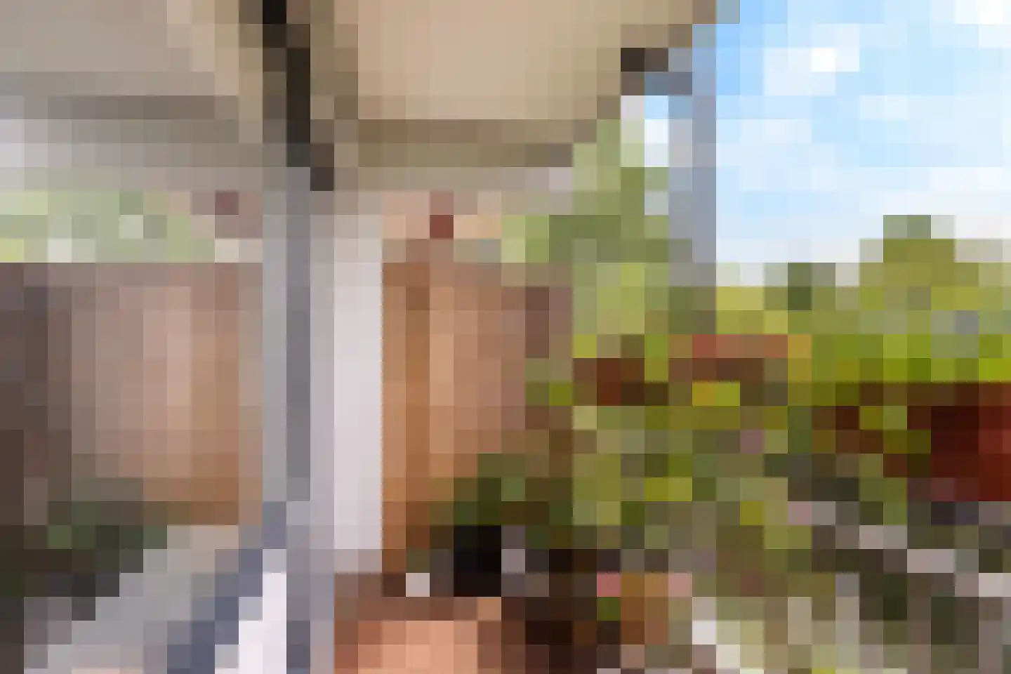 Wilde Wingerdlaan 175 Gouda thumbnail 10