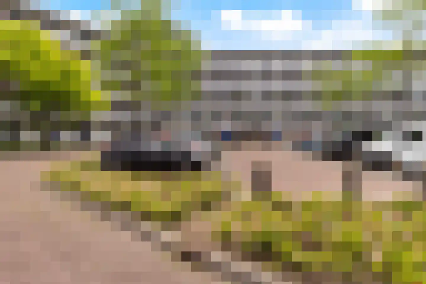 Wilde Wingerdlaan 175 Gouda thumbnail 27