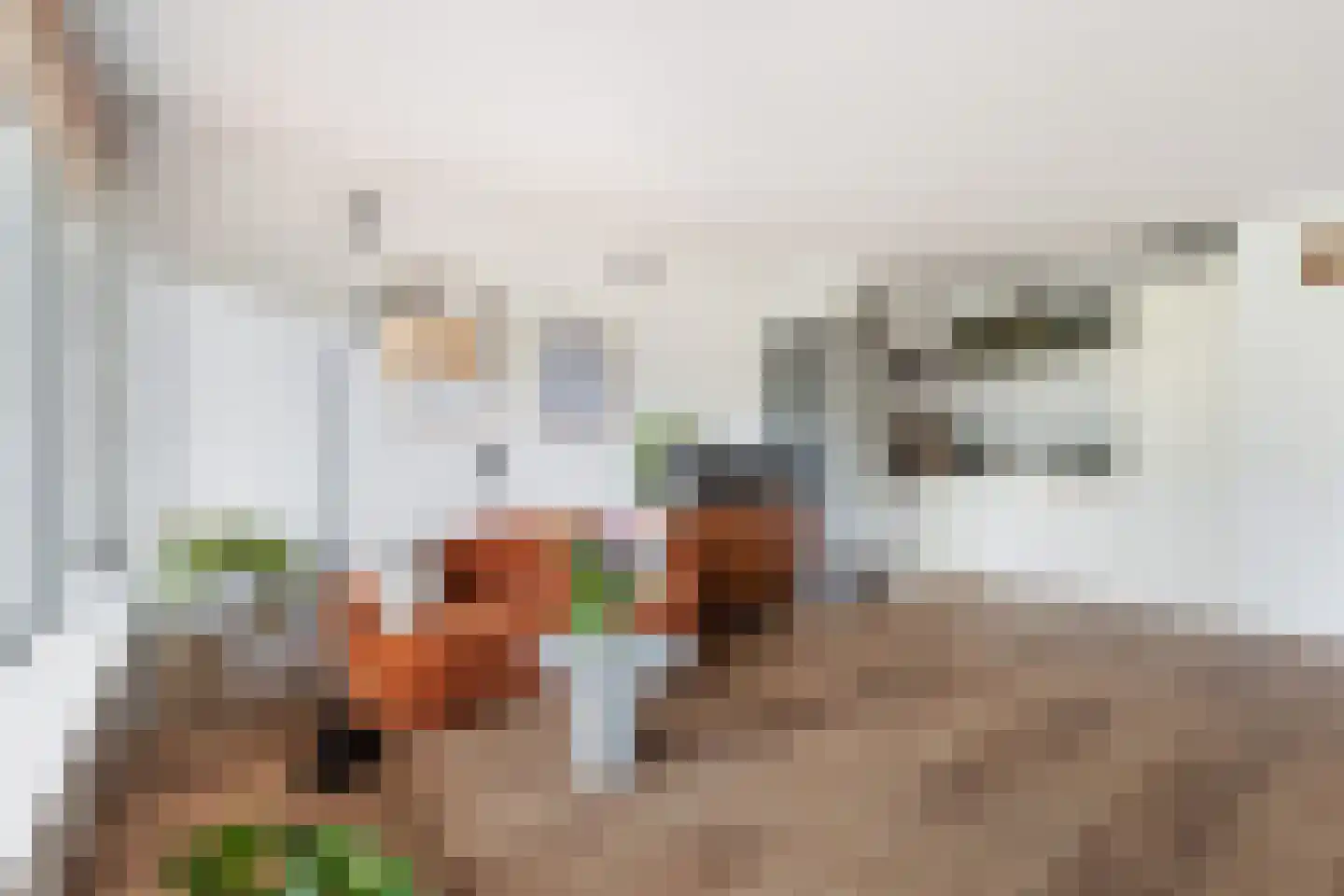 Wilde Wingerdlaan 175 Gouda thumbnail 5