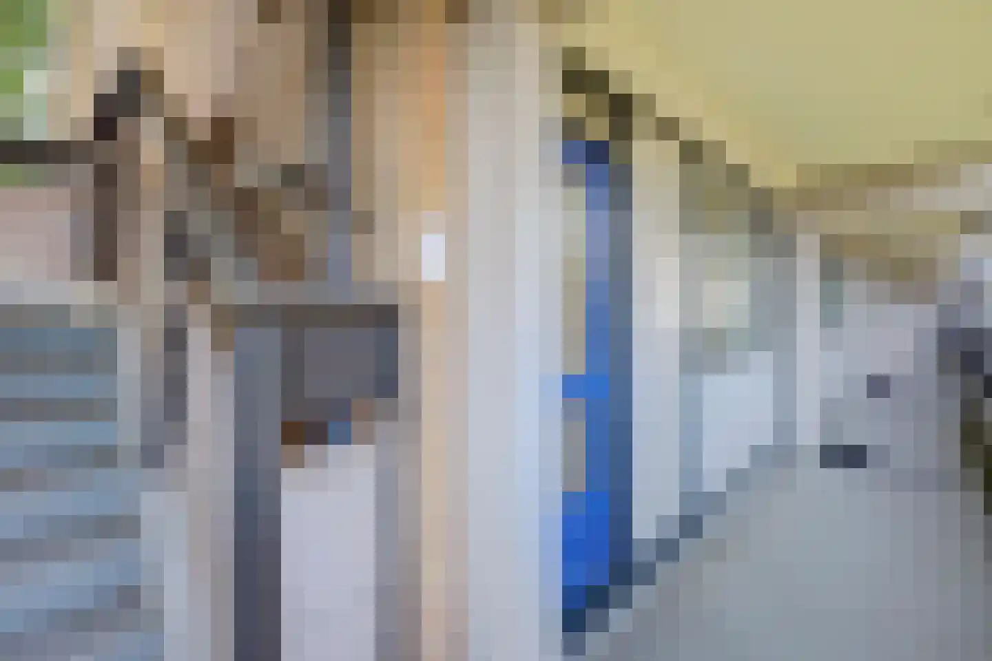 Wilde Wingerdlaan 43 Gouda thumbnail 10