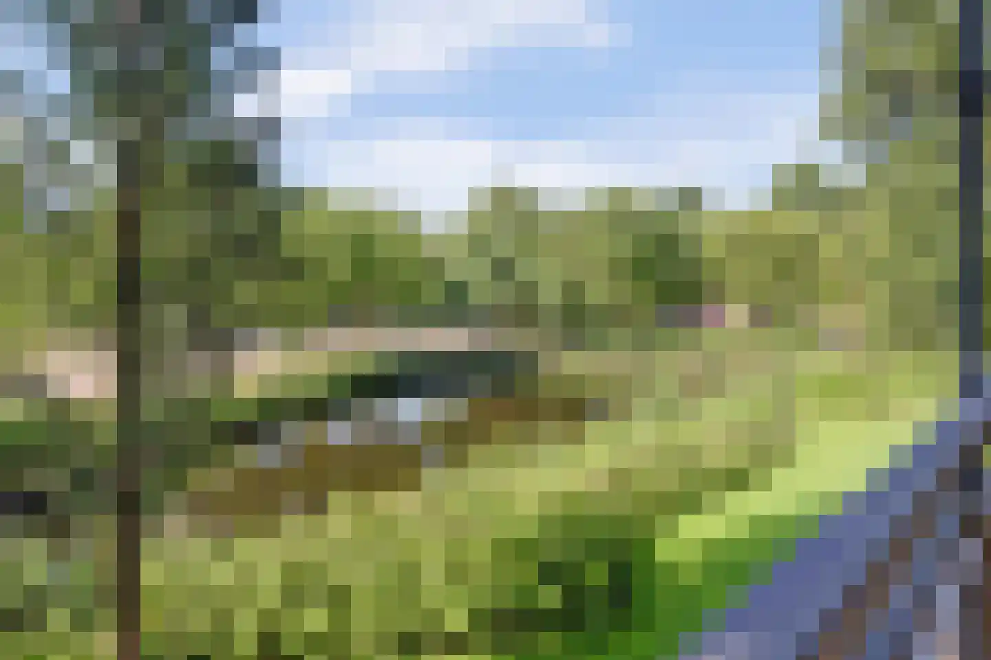 Wilde Wingerdlaan 43 Gouda thumbnail 26