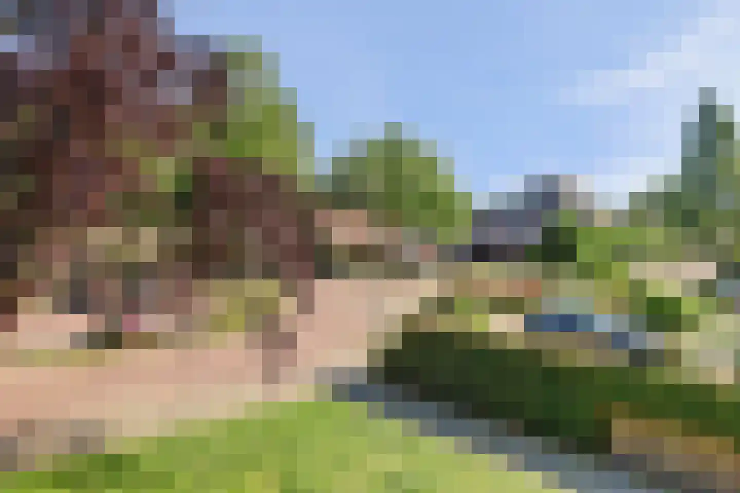 Wilde Wingerdlaan 43 Gouda thumbnail 27