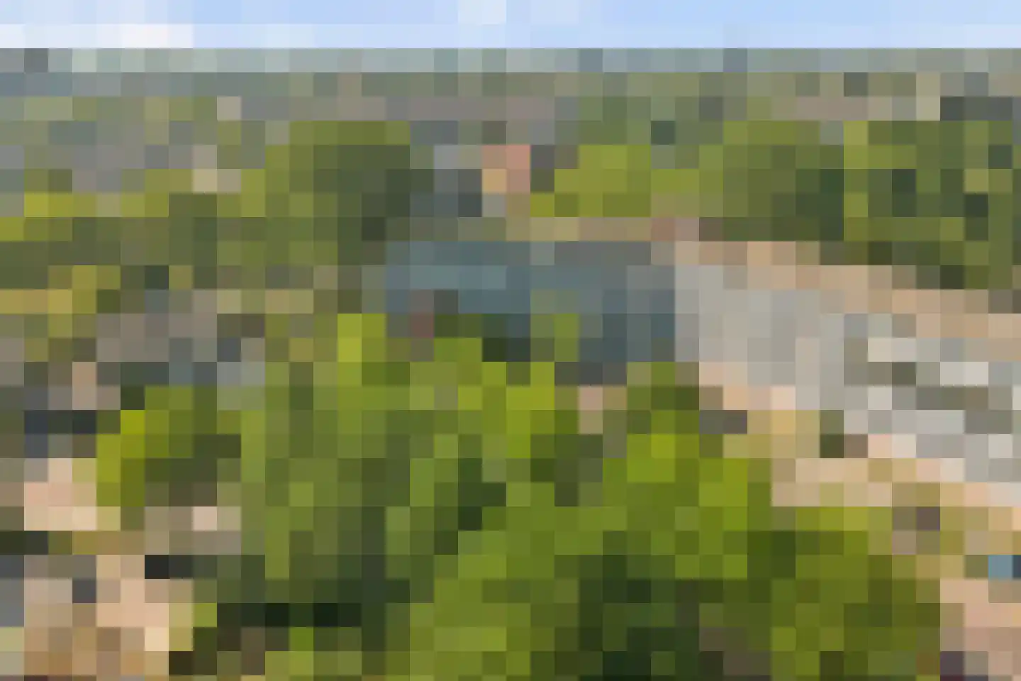 Wilde Wingerdlaan 43 Gouda thumbnail 33