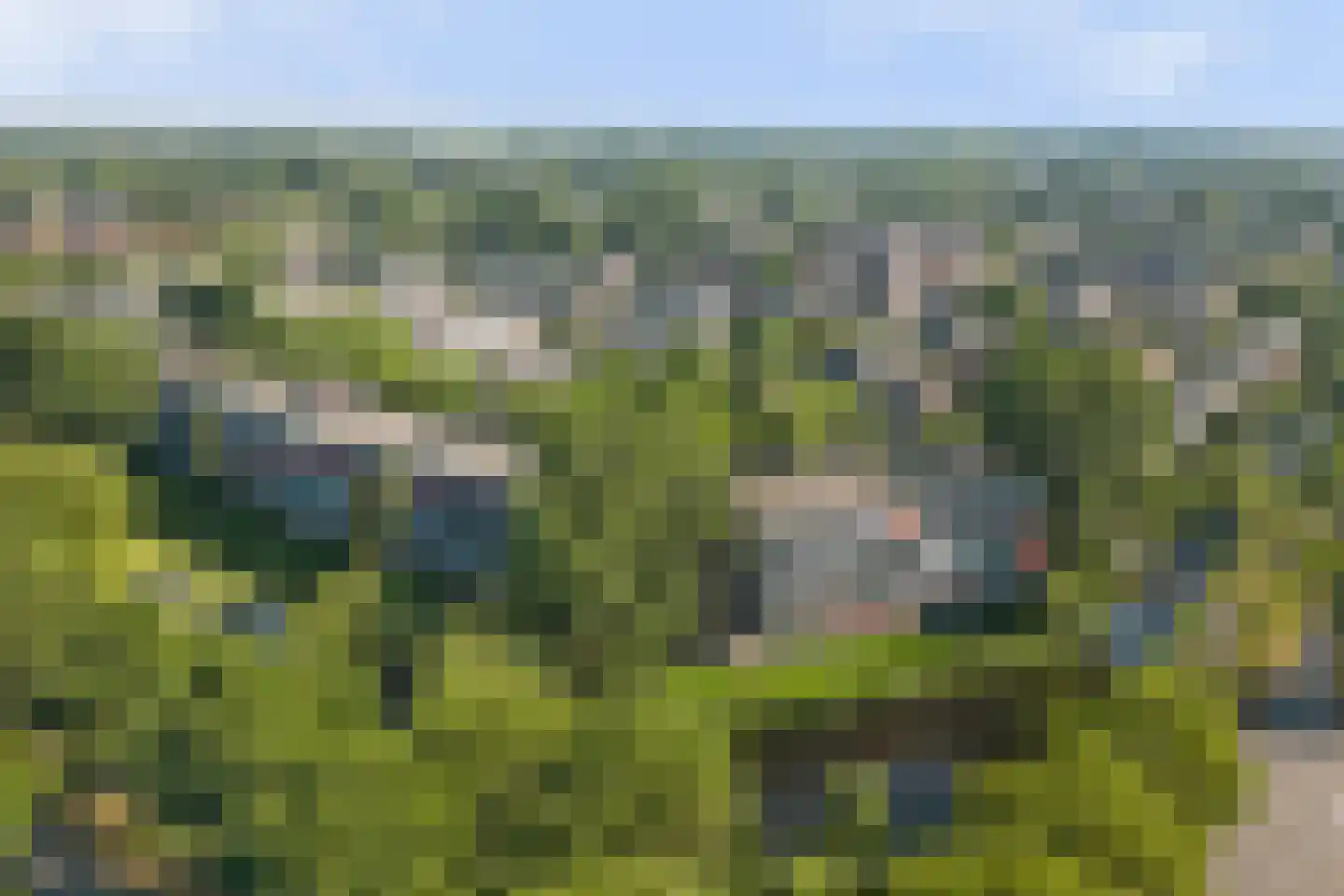 Wilde Wingerdlaan 43 Gouda thumbnail 34