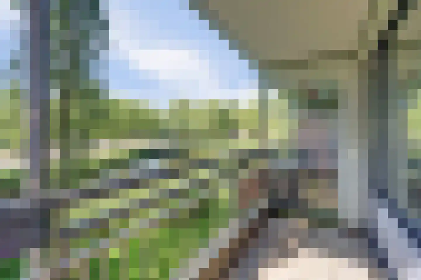 Wilde Wingerdlaan 43 Gouda thumbnail 4