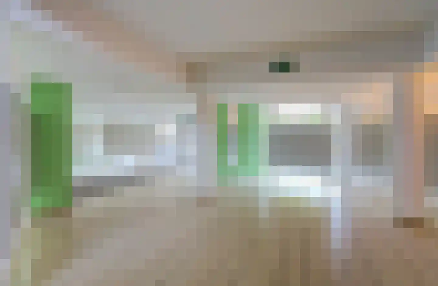 Wilde Wingerdlaan 43 Gouda thumbnail 7