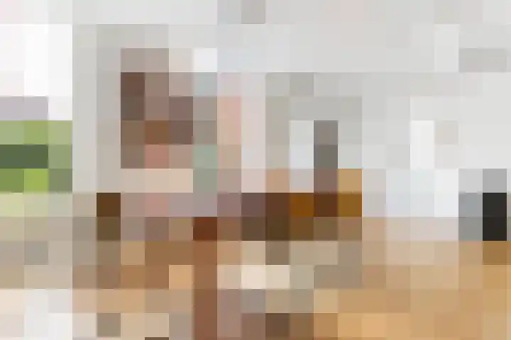 Wilde Wingerdlaan 6 Gouda thumbnail 11