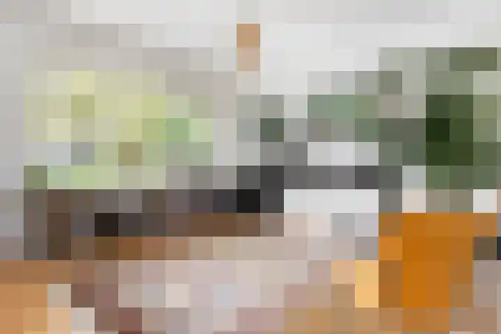 Wilde Wingerdlaan 6 Gouda thumbnail 13