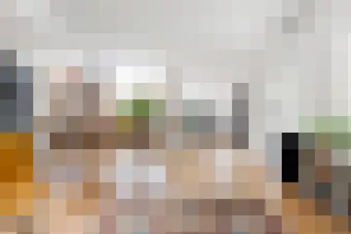 Wilde Wingerdlaan 6 Gouda thumbnail 14