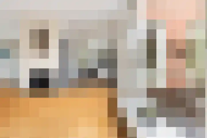 Wilde Wingerdlaan 6 Gouda thumbnail 16