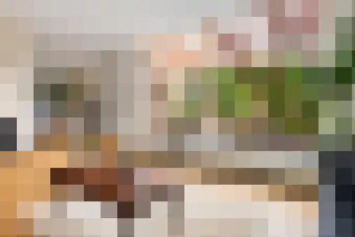 Wilde Wingerdlaan 6 Gouda thumbnail 17