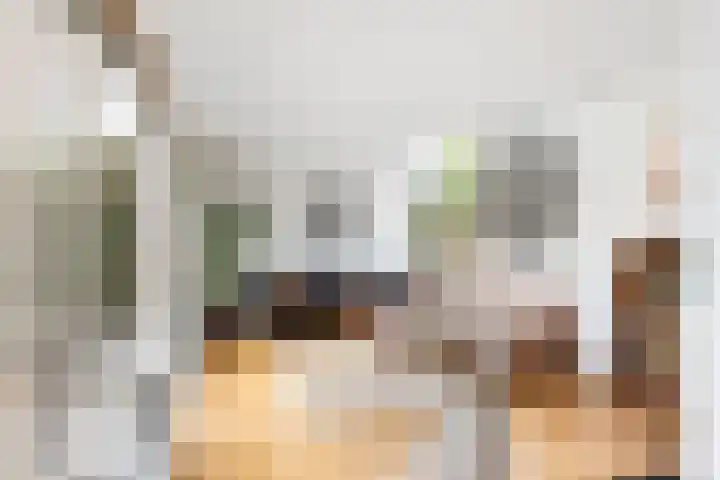 Wilde Wingerdlaan 6 Gouda thumbnail 18