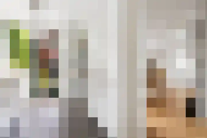 Wilde Wingerdlaan 6 Gouda thumbnail 19