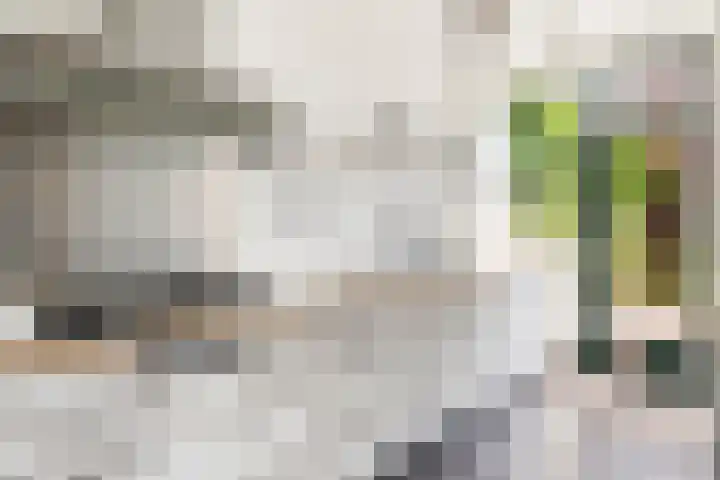 Wilde Wingerdlaan 6 Gouda thumbnail 20