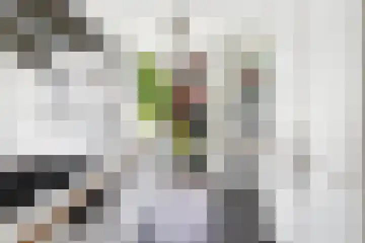 Wilde Wingerdlaan 6 Gouda thumbnail 21