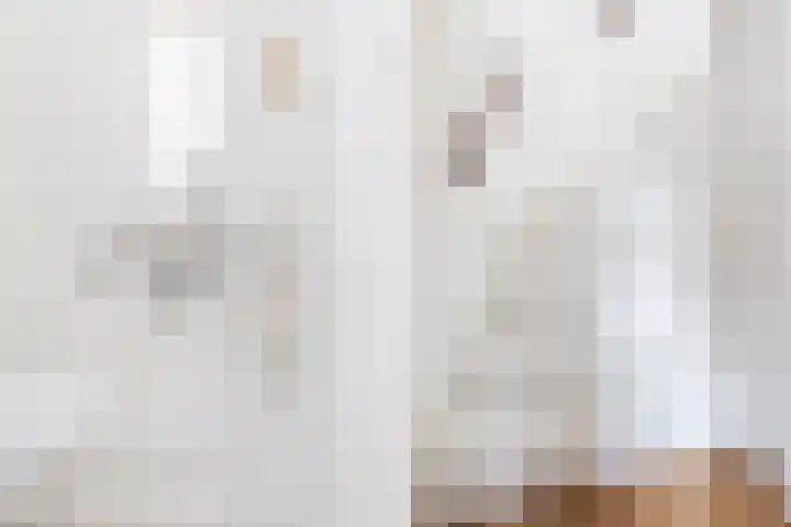 Wilde Wingerdlaan 6 Gouda thumbnail 22