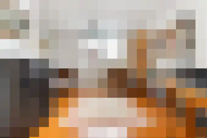 Wilde Wingerdlaan 6 Gouda thumbnail 30