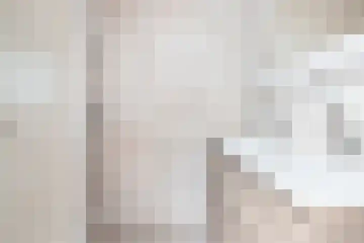 Wilde Wingerdlaan 6 Gouda thumbnail 33