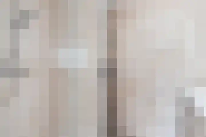 Wilde Wingerdlaan 6 Gouda thumbnail 34