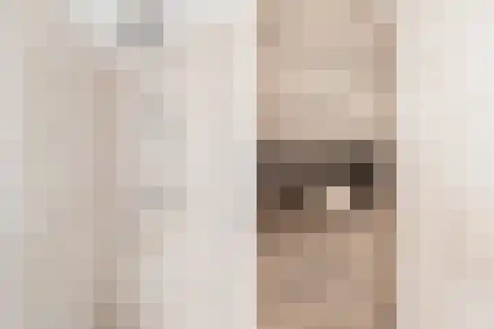 Wilde Wingerdlaan 6 Gouda thumbnail 35