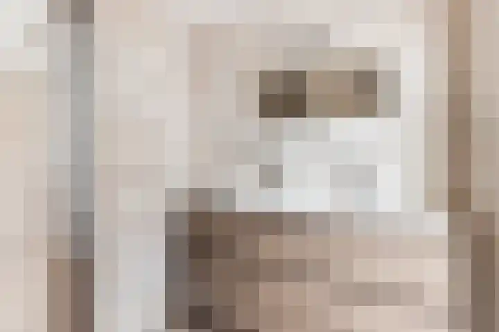 Wilde Wingerdlaan 6 Gouda thumbnail 36