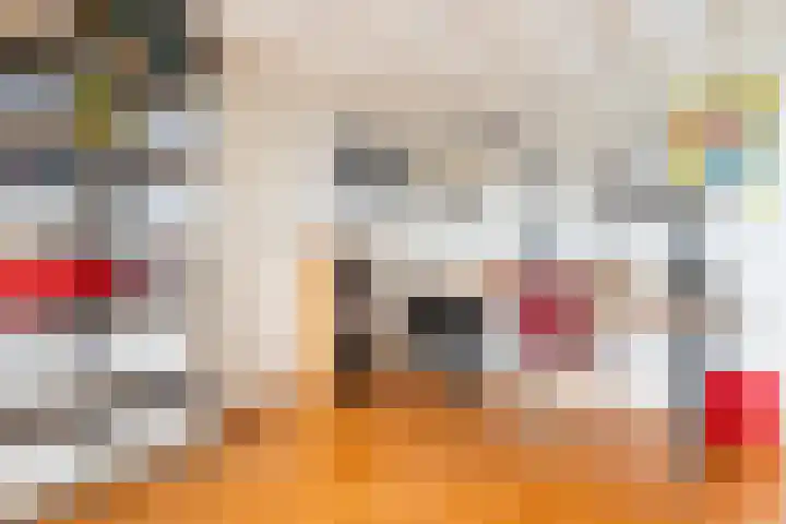 Wilde Wingerdlaan 6 Gouda thumbnail 38
