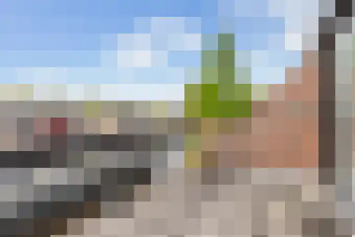 Wilde Wingerdlaan 6 Gouda thumbnail 39