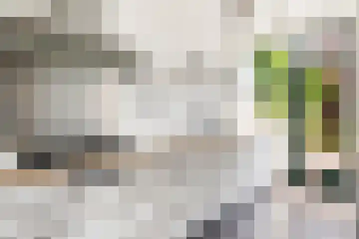 Wilde Wingerdlaan 6 Gouda thumbnail 4