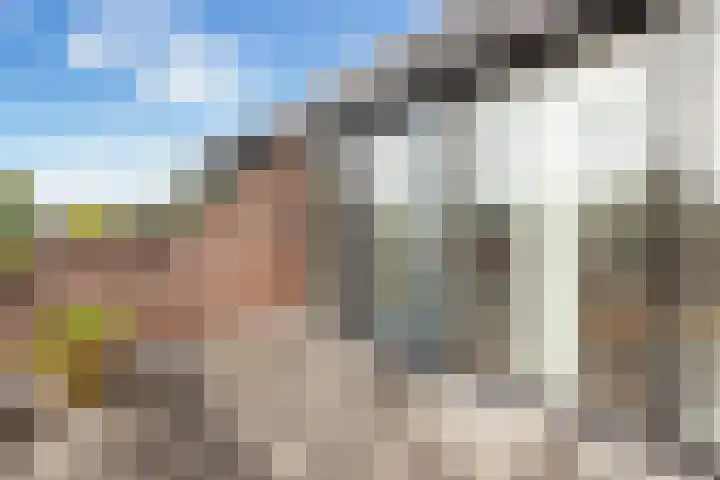 Wilde Wingerdlaan 6 Gouda thumbnail 40