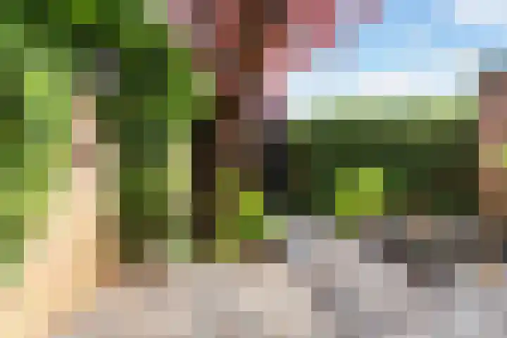 Wilde Wingerdlaan 6 Gouda thumbnail 41