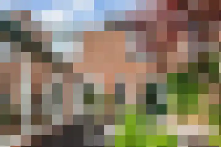 Wilde Wingerdlaan 6 Gouda thumbnail 43