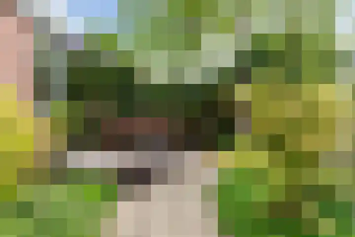 Wilde Wingerdlaan 6 Gouda thumbnail 46